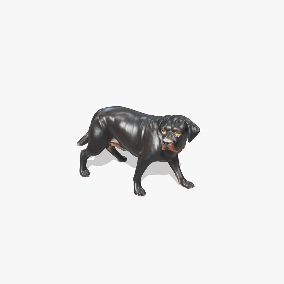 Black Labrador model pack